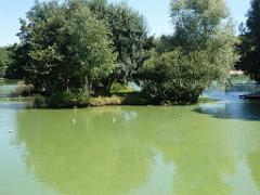 101PARC AUX OISEAUX DANS L AIN 2016 1_000053